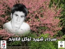 سردار شهید توکل قلاوند