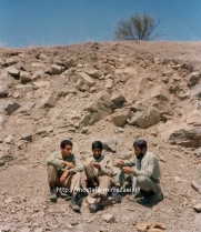 تصاویر برادر رزمنده غلام رضا میر دریکوند