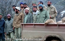 تصاویر برادر رزمنده محمد میرهاشمی