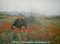تصاویر برادر رزمنده علی پناه خدایی