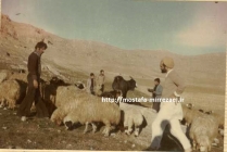تصاویر سردار رشید اسلام روحانی شهید: سید فخرالدین رحیمی