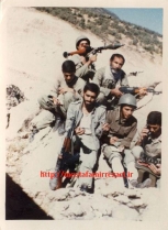 تصاویر برادر رزمنده حمید کشوری
