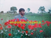 تصاویر برادر رزمنده رضا شریعت