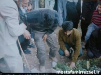 تصاویر شهید جهانبخش دریکوندی