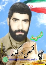 تصاویر شهید فتحعلی دریکوند