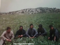 تصاویر برادر رزمنده رضا شریعت