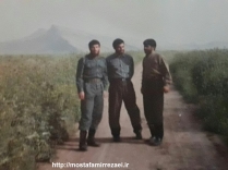 تصاویر برادر رزمنده رضا شریعت